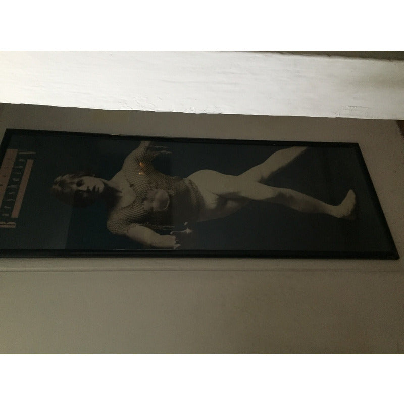 Cuadro Barishnikov 1.94m Alto X 72 Cms Ancho