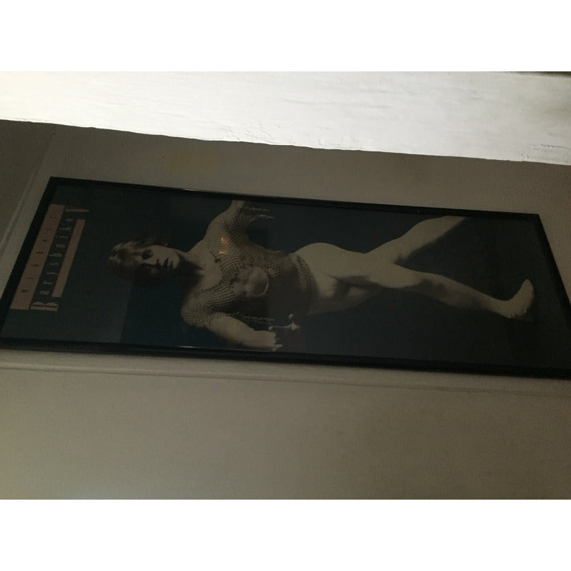 Cuadro Barishnikov 1.94m Alto X 72 Cms Ancho